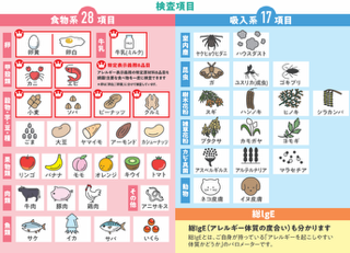 検査項目